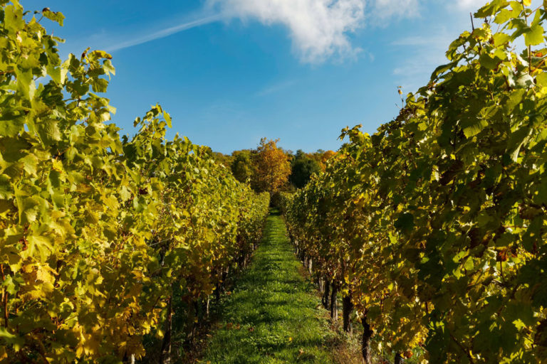 Motovendemmia 2019 – Desenzano del Garda